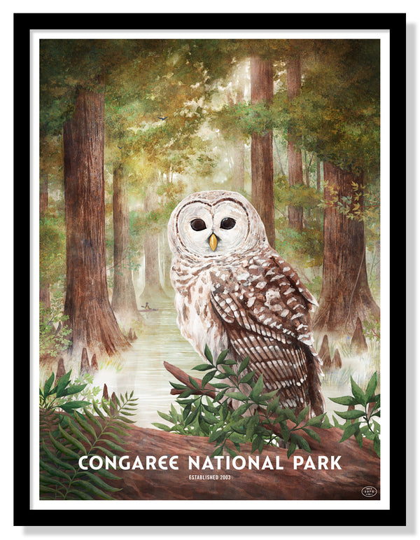 Congaree National Park Poster