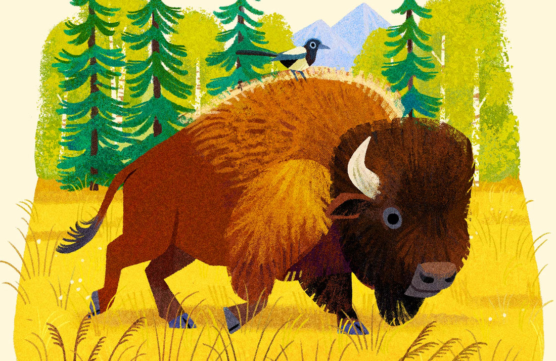 American Bison National Park Alphabet Print