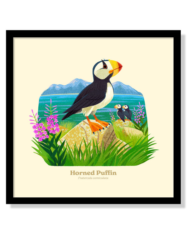 Horned Puffin National Park Alphabet Print