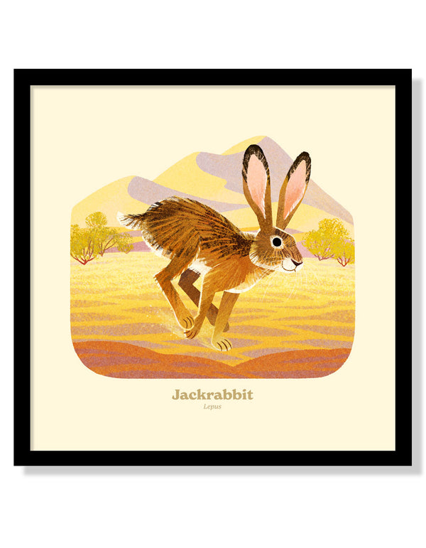 Jackrabbit National Park Alphabet Print