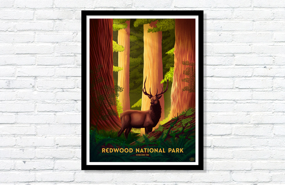 Redwood National Park Poster