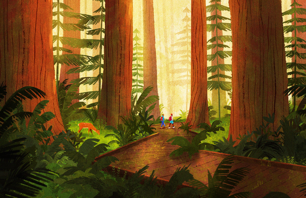 Muir Woods National Monument Poster