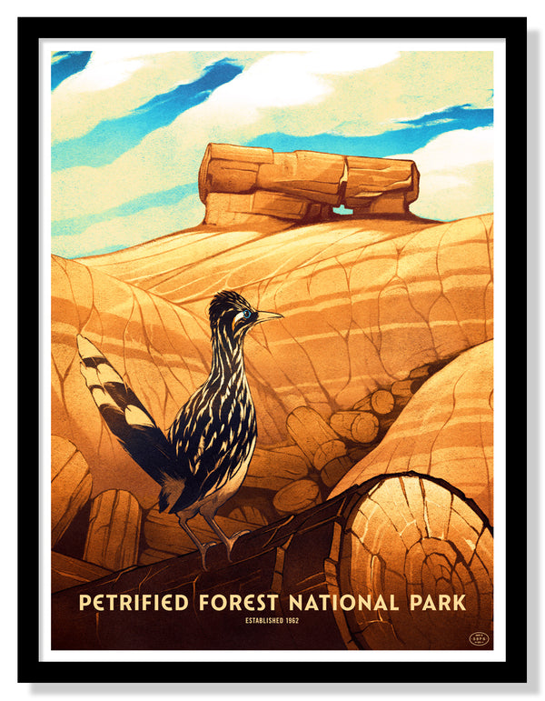 Petrified Forest National Park Poster